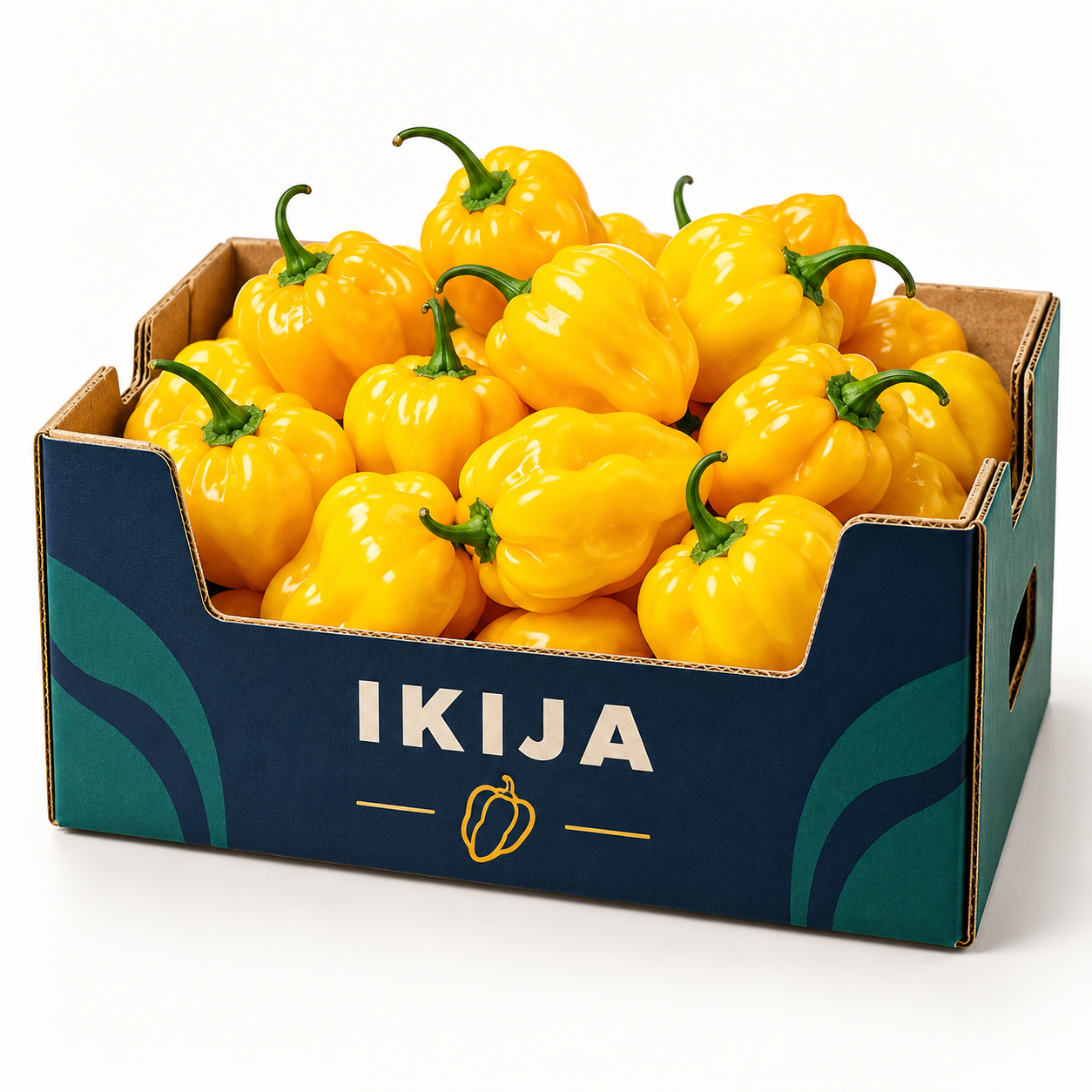 Yellow Ata Rodo Pepper Box — 4KG